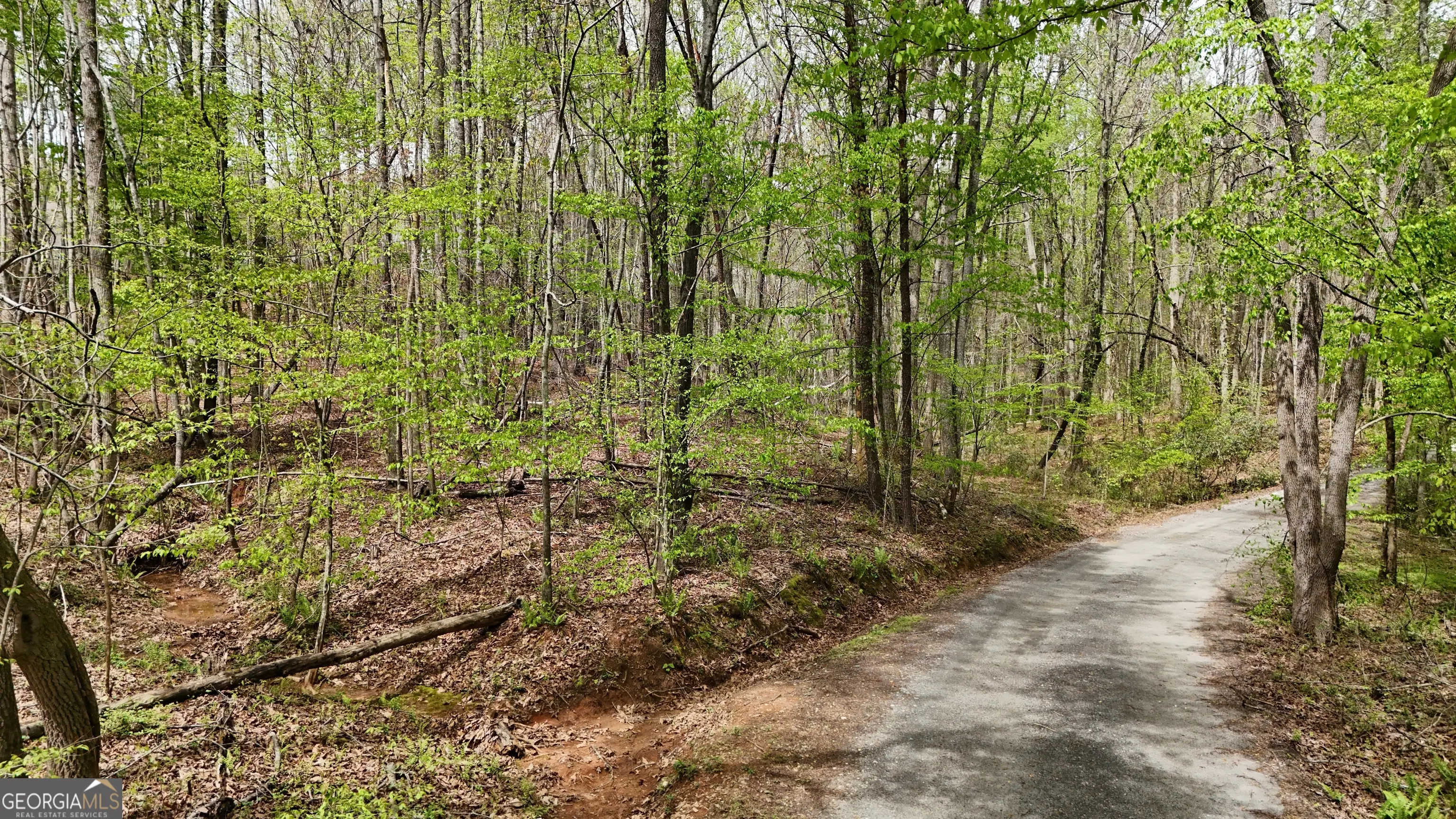 0 Shenandoah Drive
