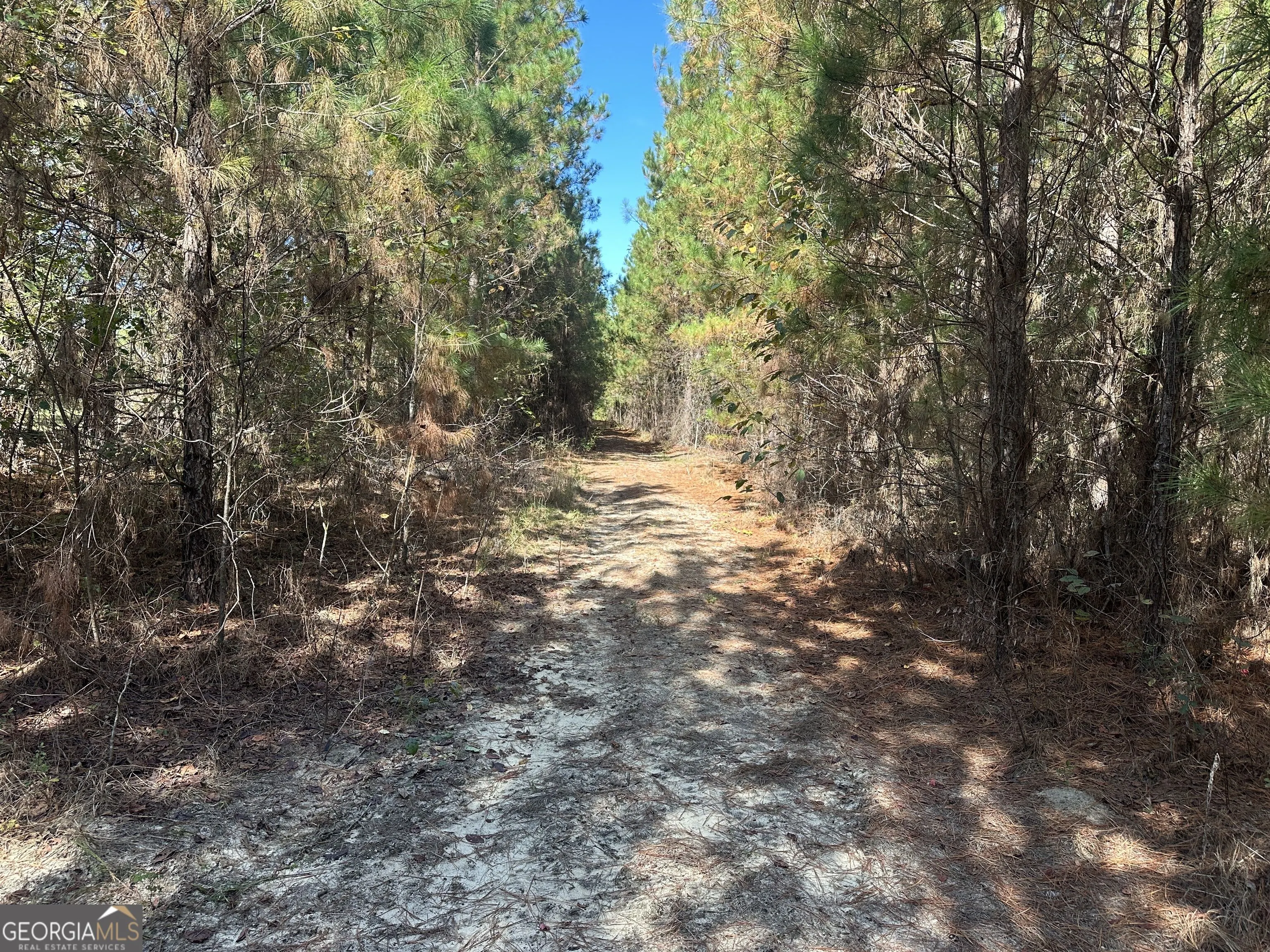 1001 Millen-Hiltonia Road