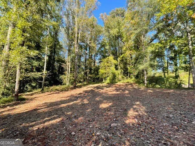 447 Martindale Court