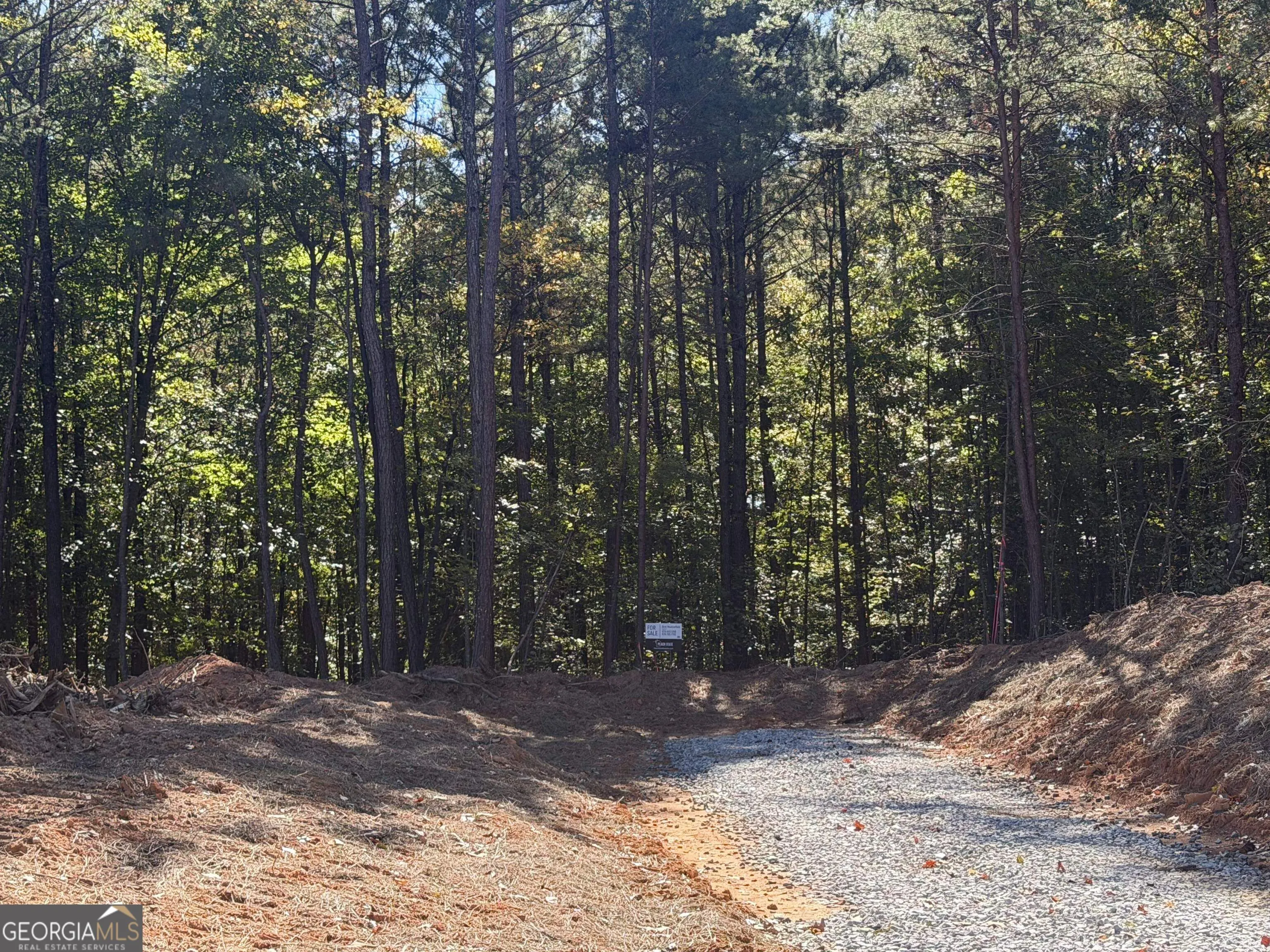 4653 Spout Springs Road