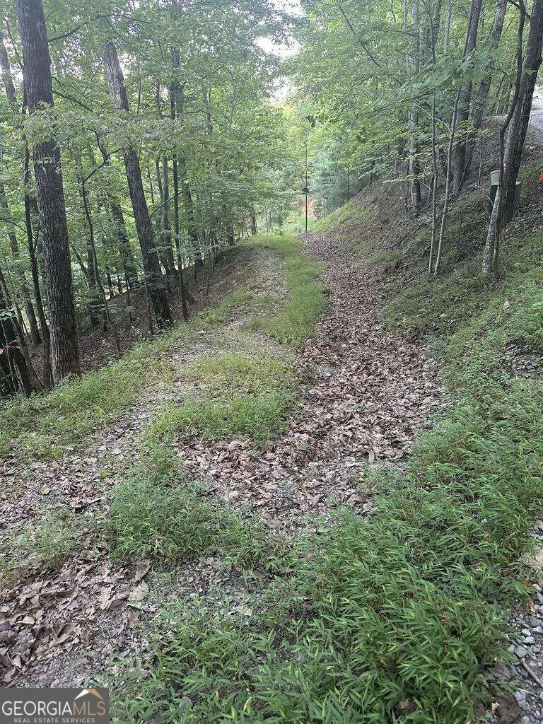 335 Deer Run Lane