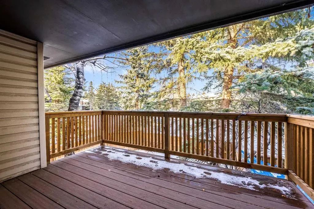 310 Brookmere Road SW, #10