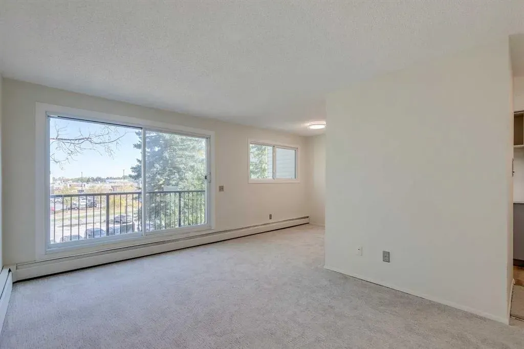 3615B 49 Street NW, #203