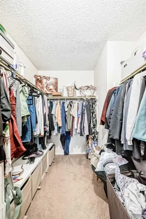 315 southampton Drive, #7312