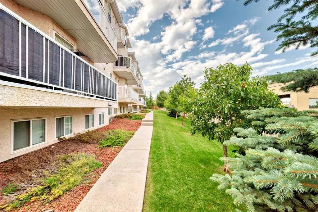50 Westland Road, #302