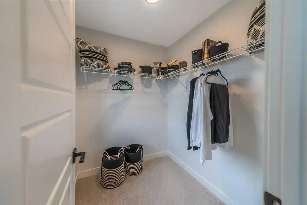 115 Saddlebred Place