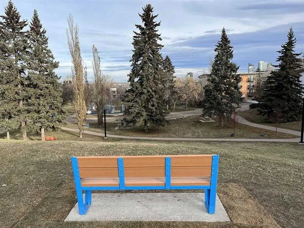 2114 17 Street SW, #403