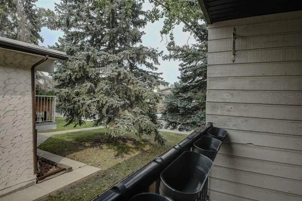 4311 73 Street NW, #204