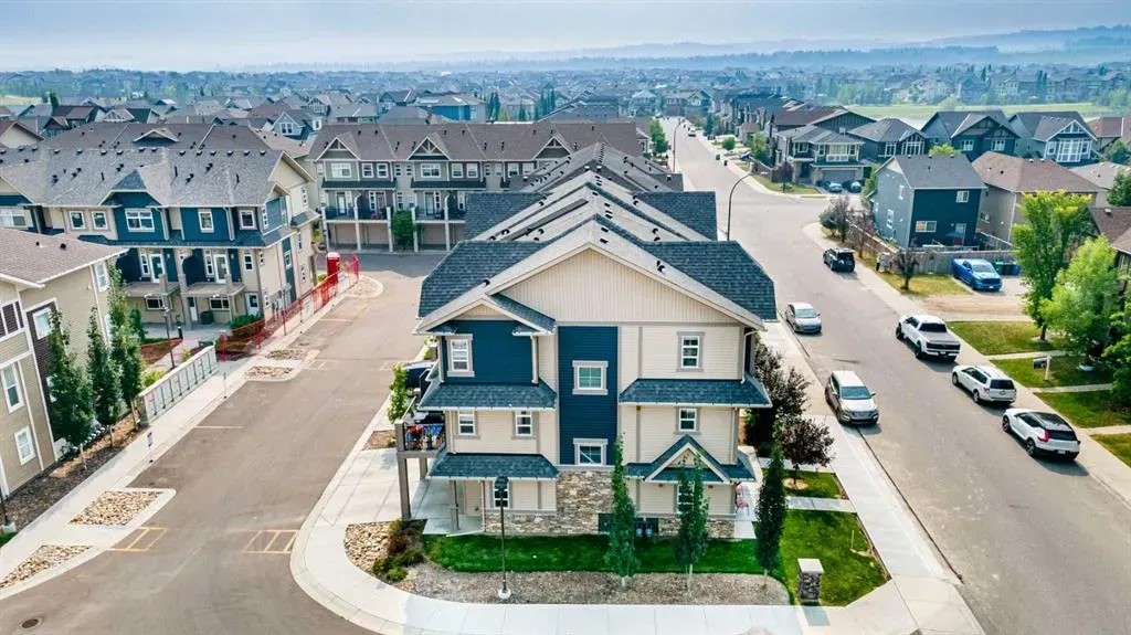 239 Legacy Common SE