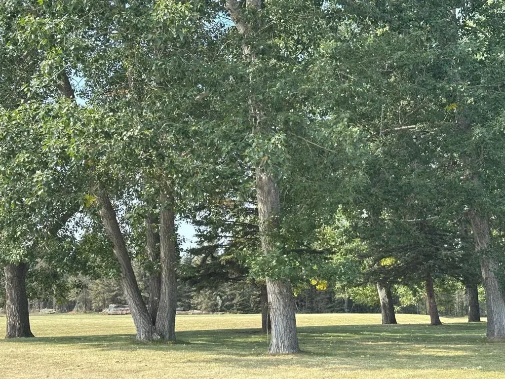 45 Timber Trail