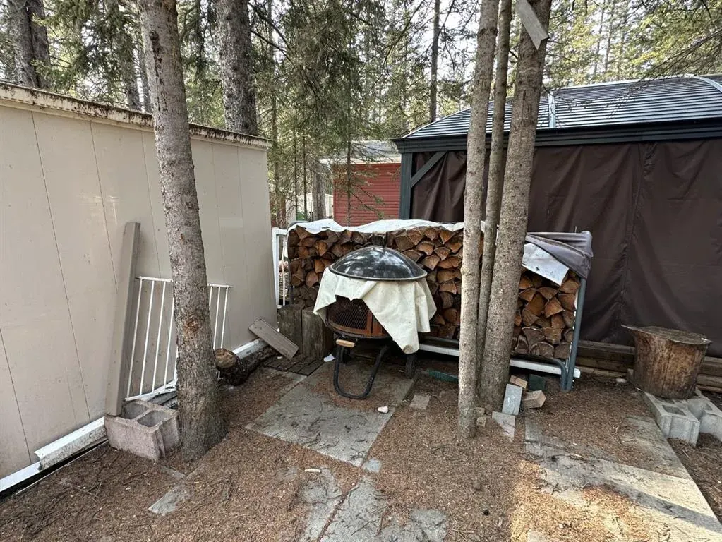 45 Timber Trail