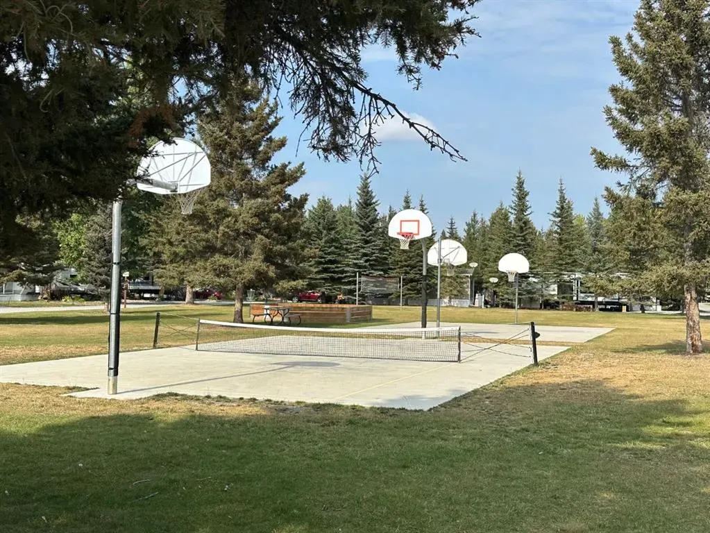 45 Timber Trail