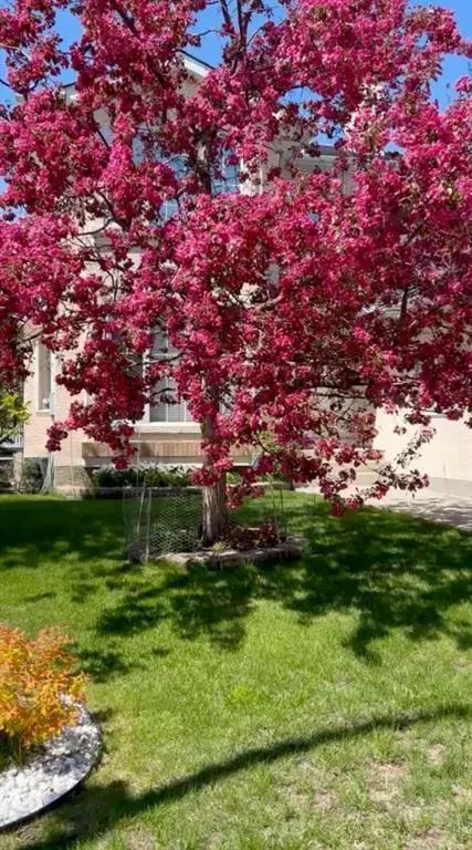 102 Hampstead Close NW