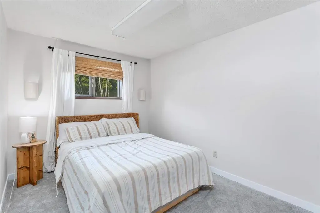 5223 48 st