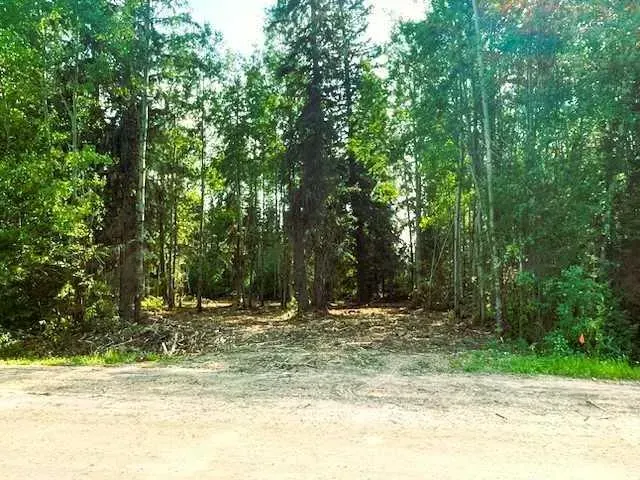 931 Wolf Trail