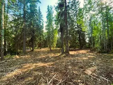 931 Wolf Trail