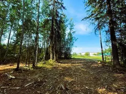 931 Wolf Trail