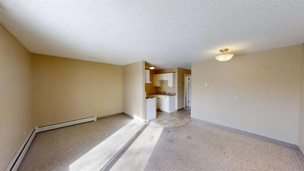10028 105 Avenue, #7