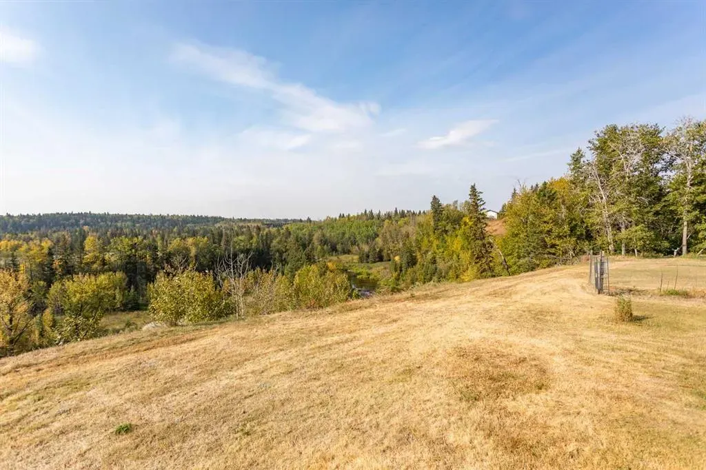27111 Highway 597 Highway, #309