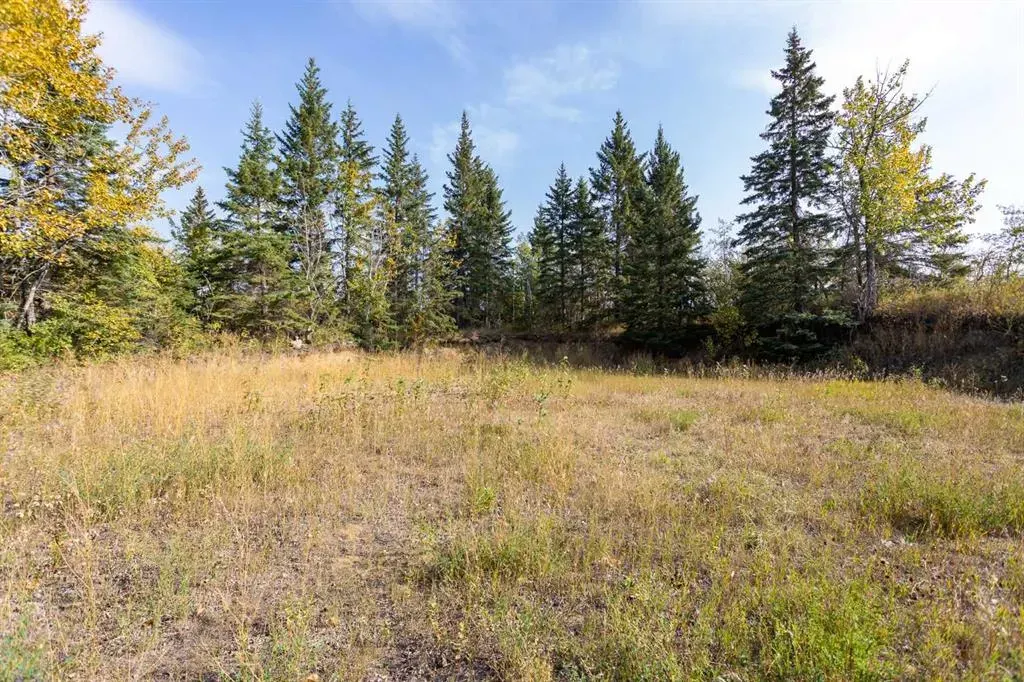 27111 Highway 597 Highway, #309