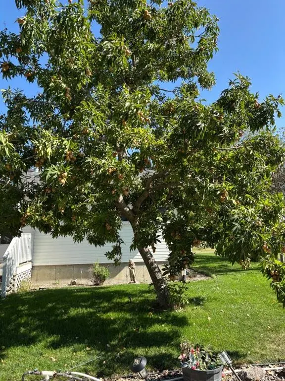 253 W 4 Avenue S