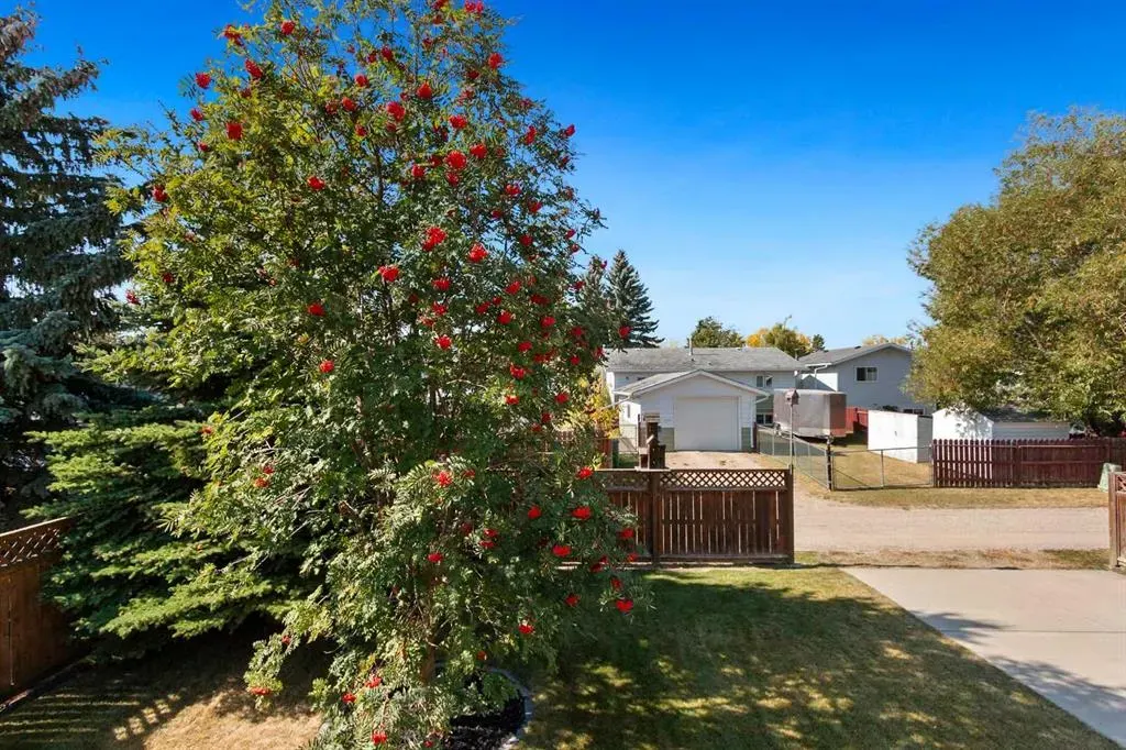 15 Sierra Road