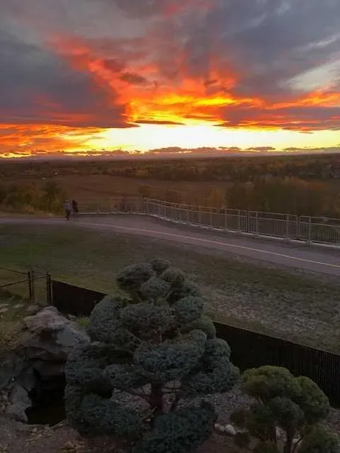 53 Mt Alberta View SE