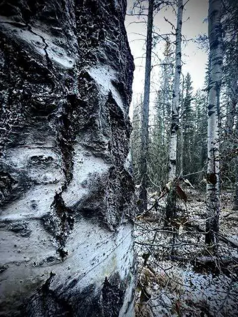 4 Wintergreen Way