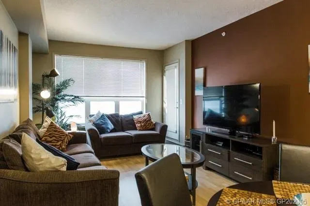 12310 102 Street, #316