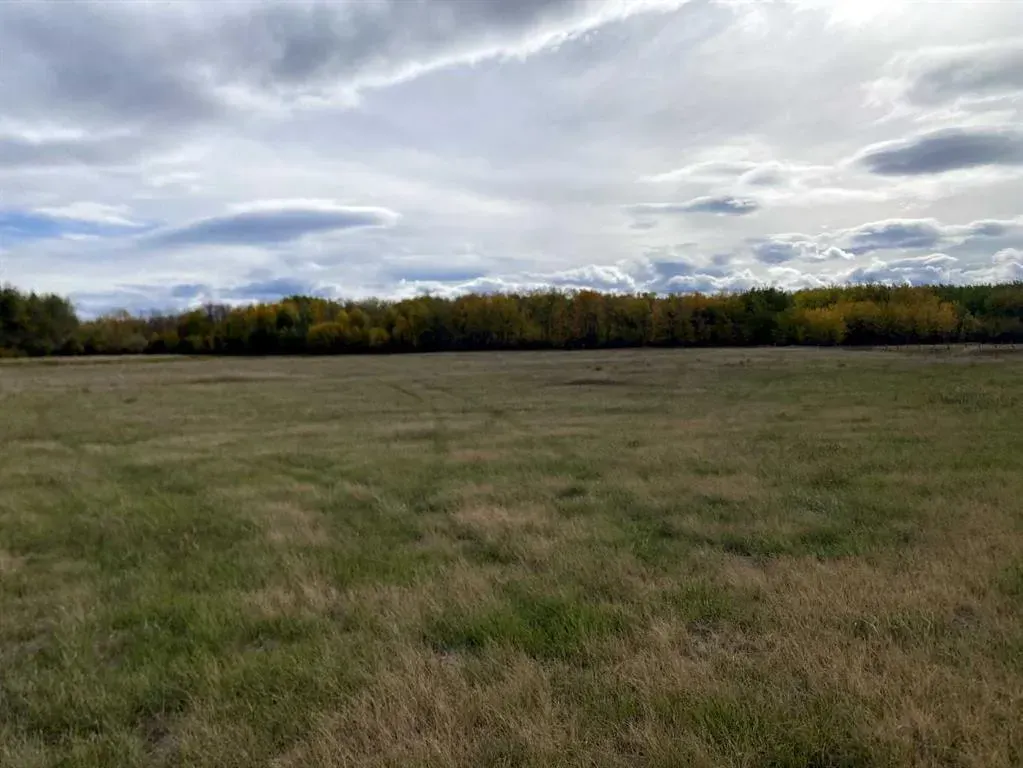 TWP RD 704