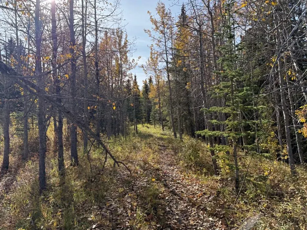 242 Township, #160 Acres