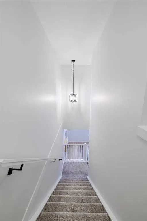 213 Alpine Rush View