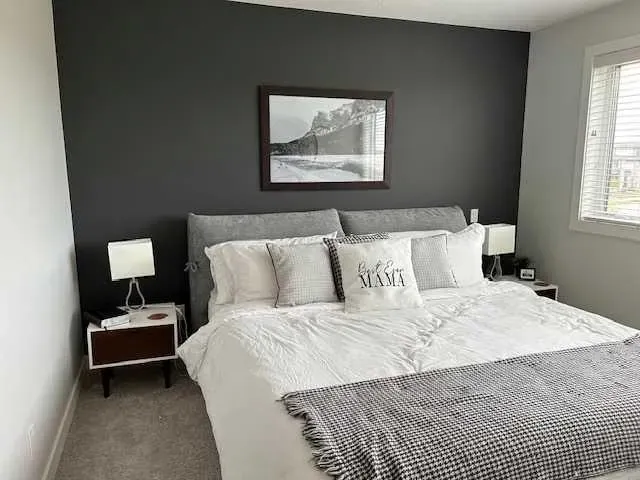 213 Alpine Rush View
