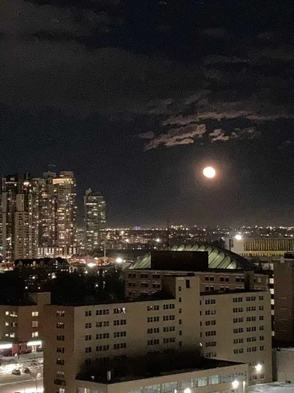 330 26 Avenue SW, #1703