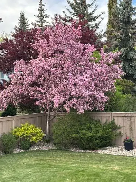 39 Arbour Estates Way NW