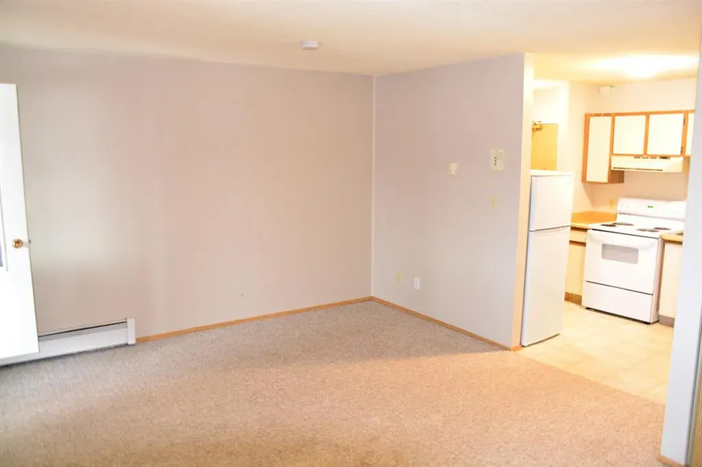 10118 100 Avenue, #101-215