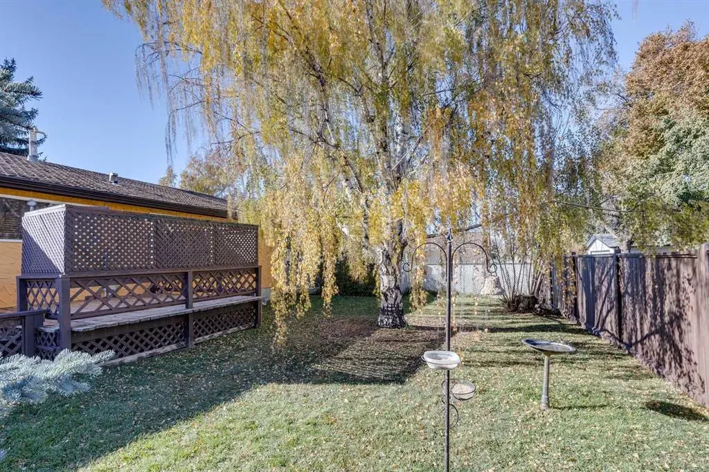 8 Mist Road