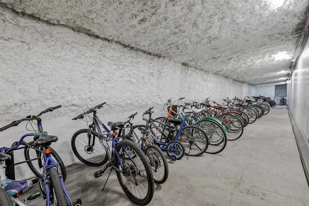 16 Auburn Bay Link SE, #307