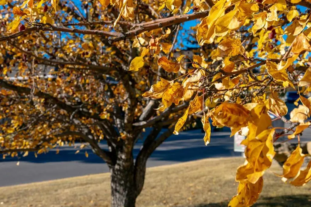 118 Sienna Hills Drive SW