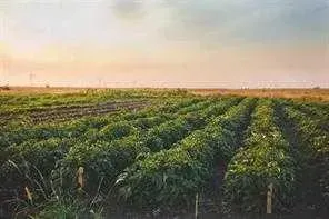 264169 Range Road 273