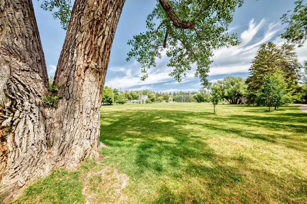 1234 5 Avenue NW, #1106