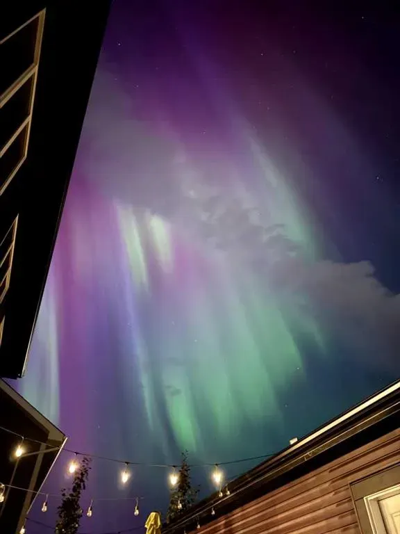 216 Clydesdale Avenue