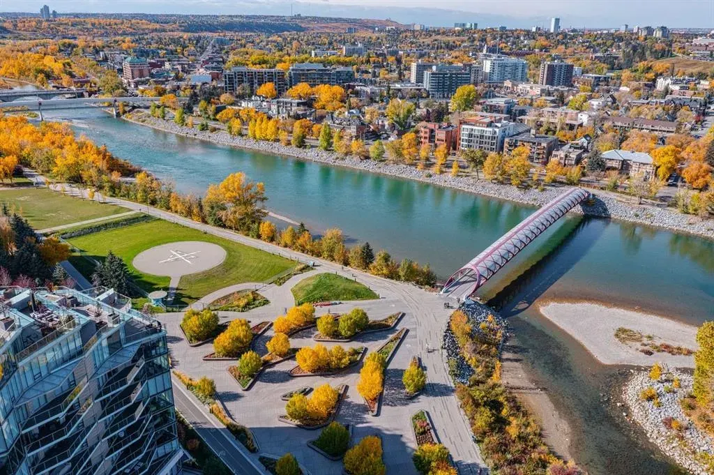 738 1 Avenue SW, #412