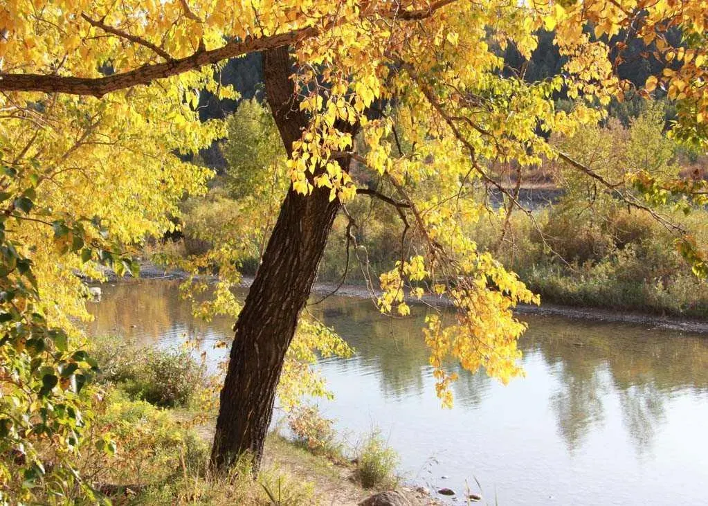 357 Point Mckay Gardens NW