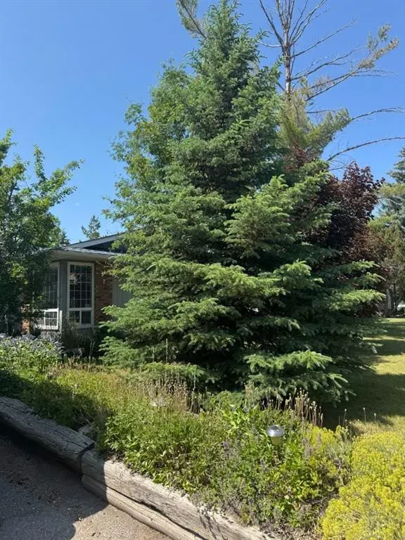 431 Queen Charlotte Drive SE