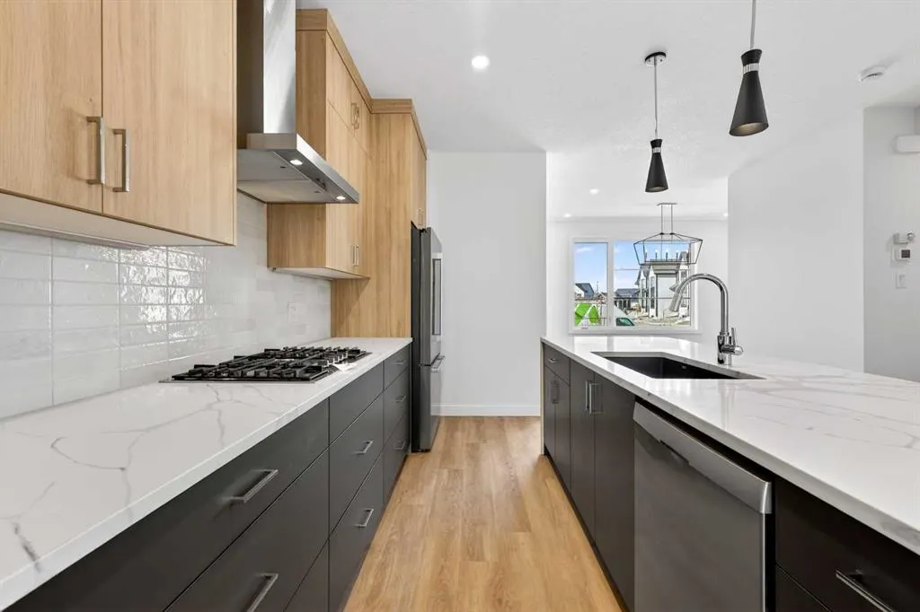 1105 Sailfin Heath