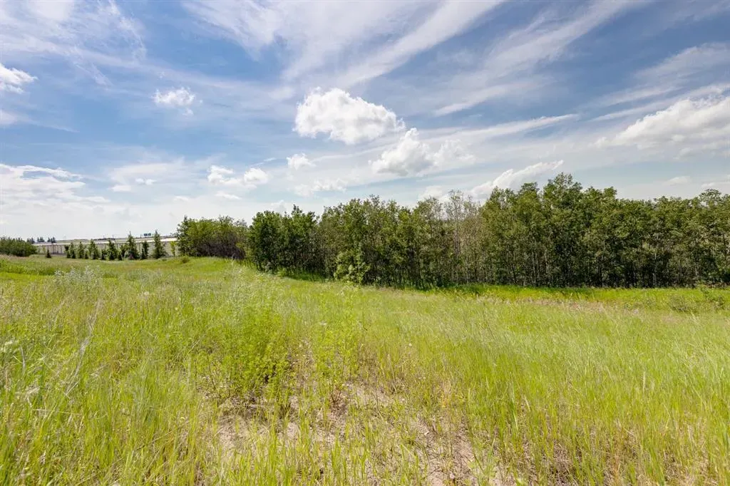 5446 Vista Trail