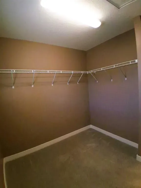 301 Ranch Ridge Meadow