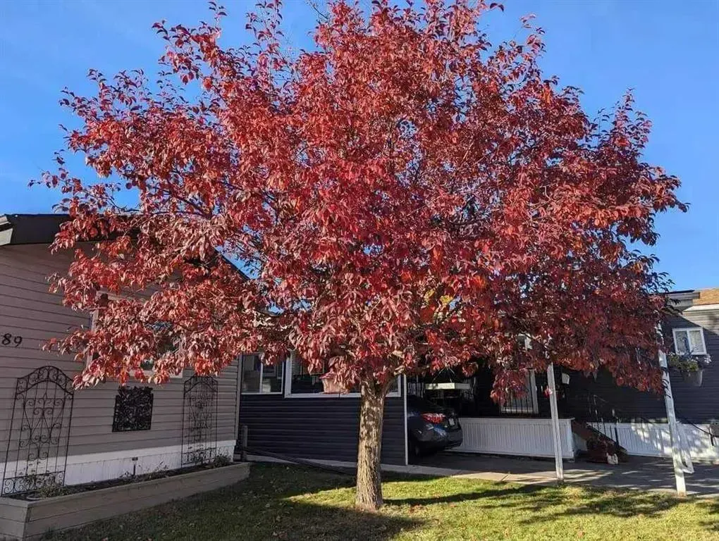 99 Arbour Lake Road NW #189