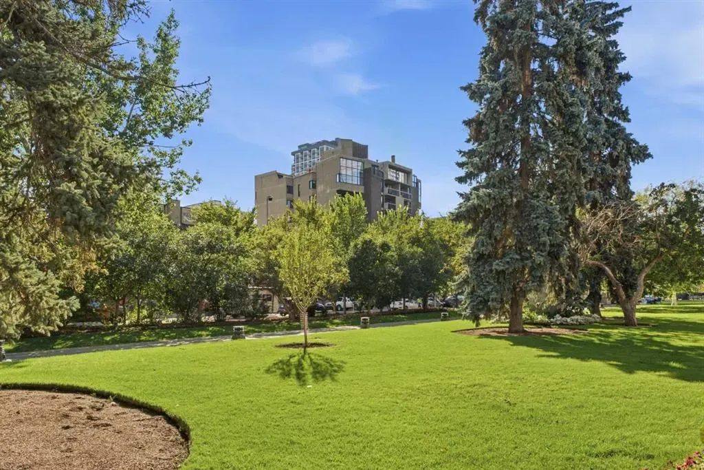 323 13 Avenue SW #203